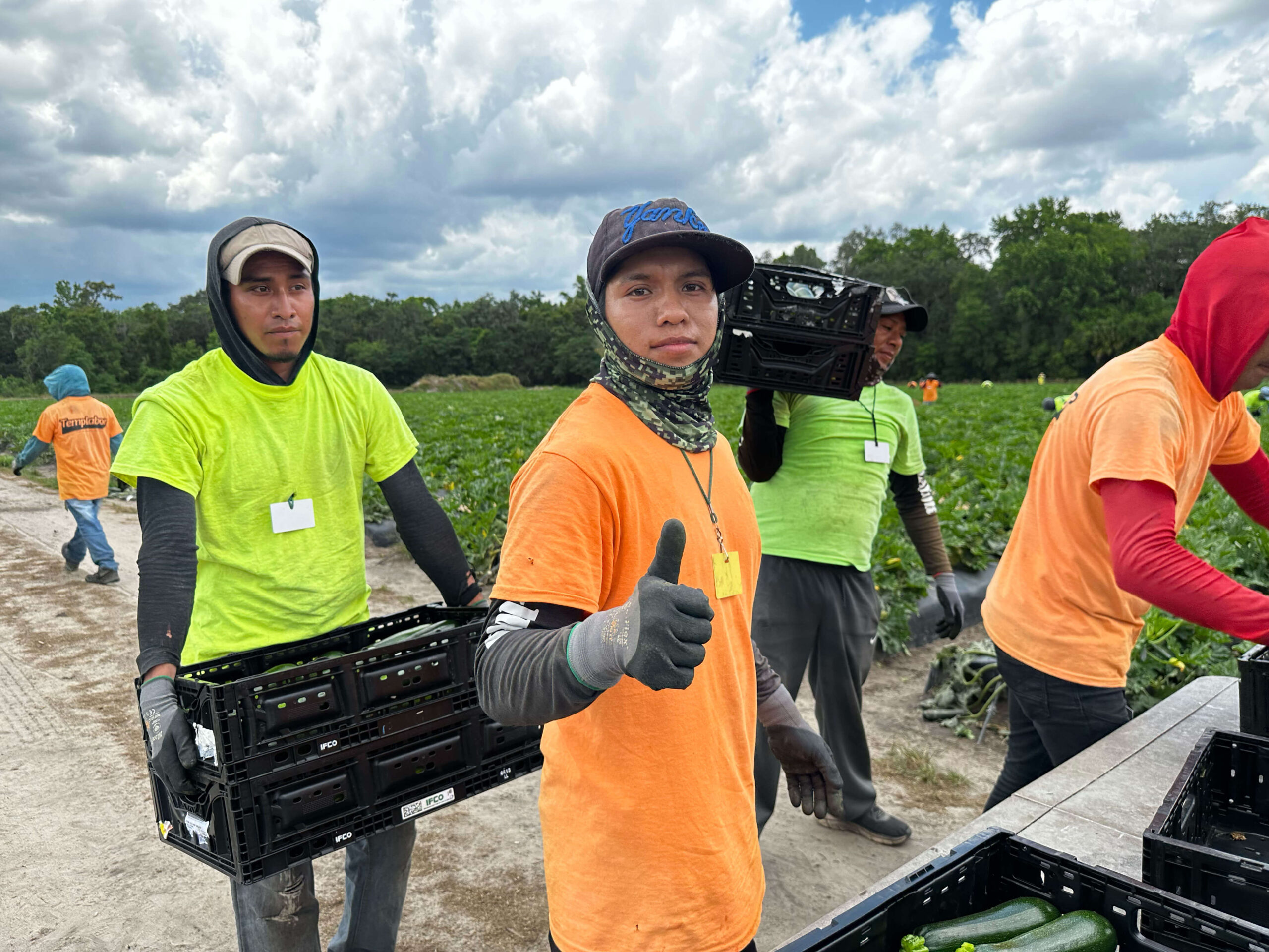 VISA H2A Trabajadores Temporales en Estados Unidos Big Force Academy